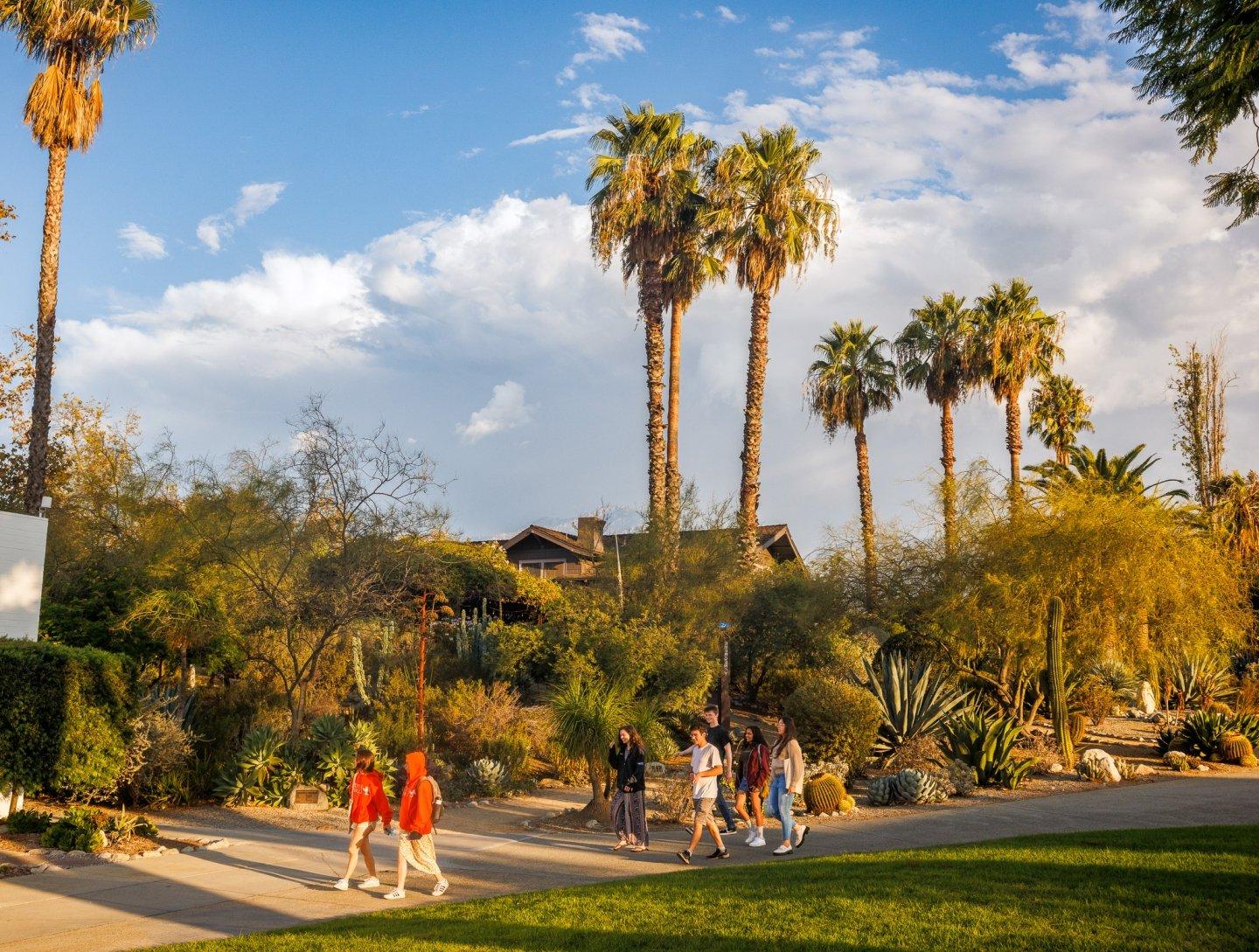 Students walking in front of palm trees